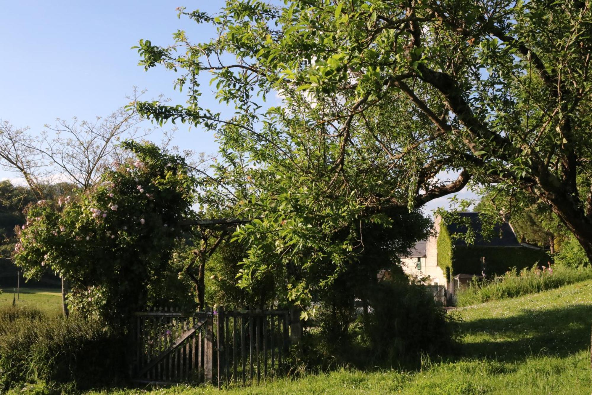 Chambres D'Hotes Du Noisillet Cinais Bagian luar foto