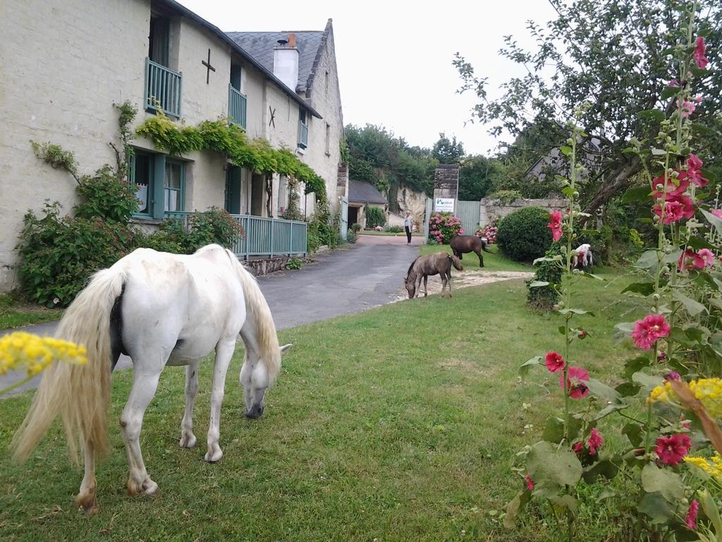 Chambres D'Hotes Du Noisillet Cinais Bagian luar foto